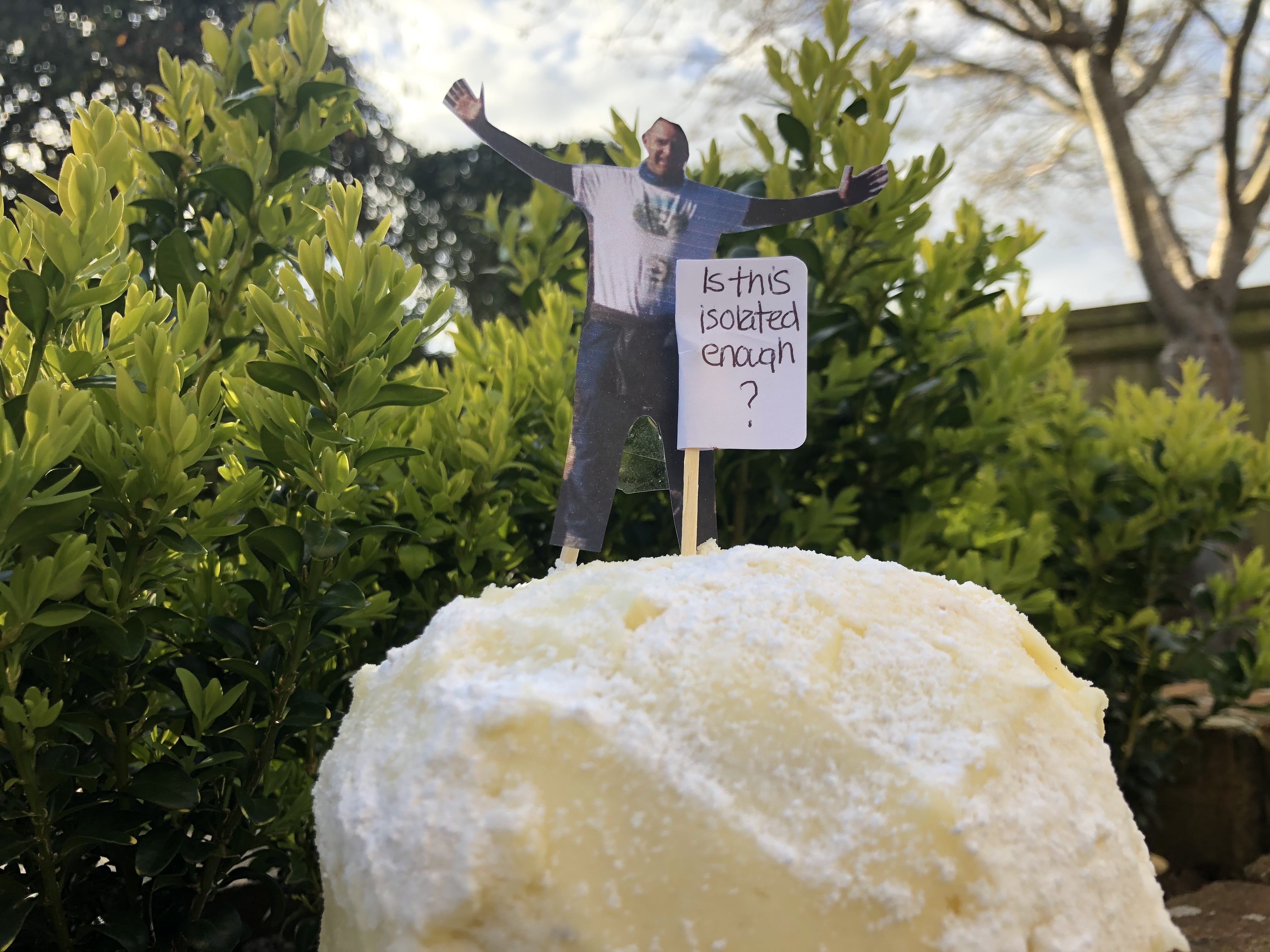 Mound of yellow Victoria Sponge Cake with icing sugar, a figure of a man on top and a sign that reads 'Is this isolated enough?' with a green bush in the background