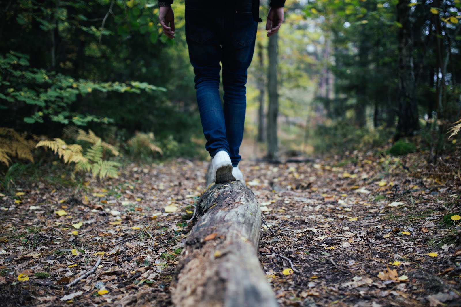 Person in jeans walking away from camera on a wooden log in the forest