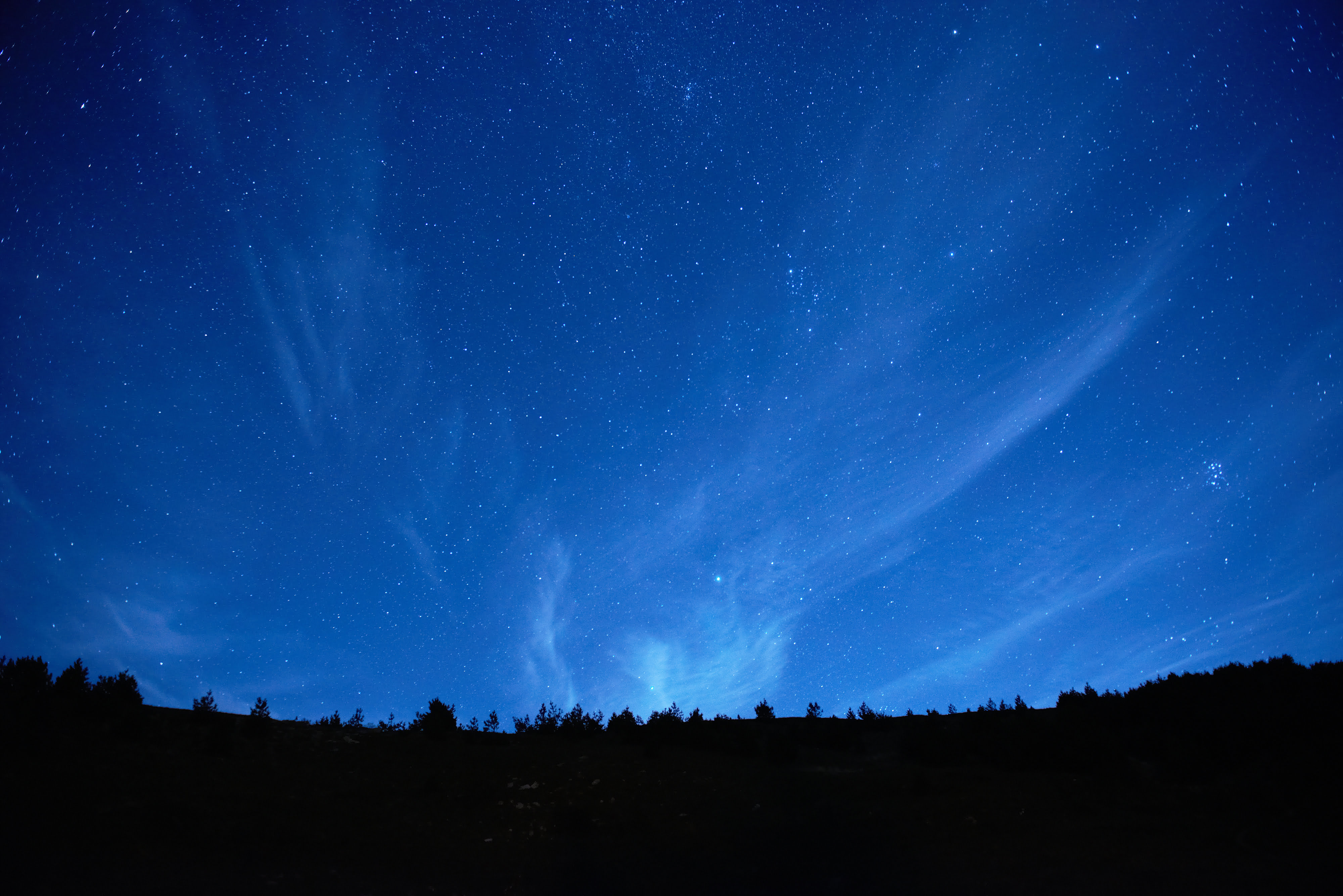 A horizon showing an electric blue night sky with stars and a line of trees seen as a black shadow in front