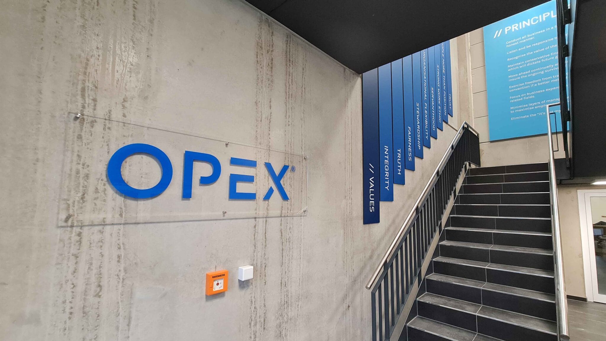 OPEX | Strategy and Marketing Support Case Study